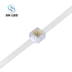 Park Lighting RGB LED Pixel